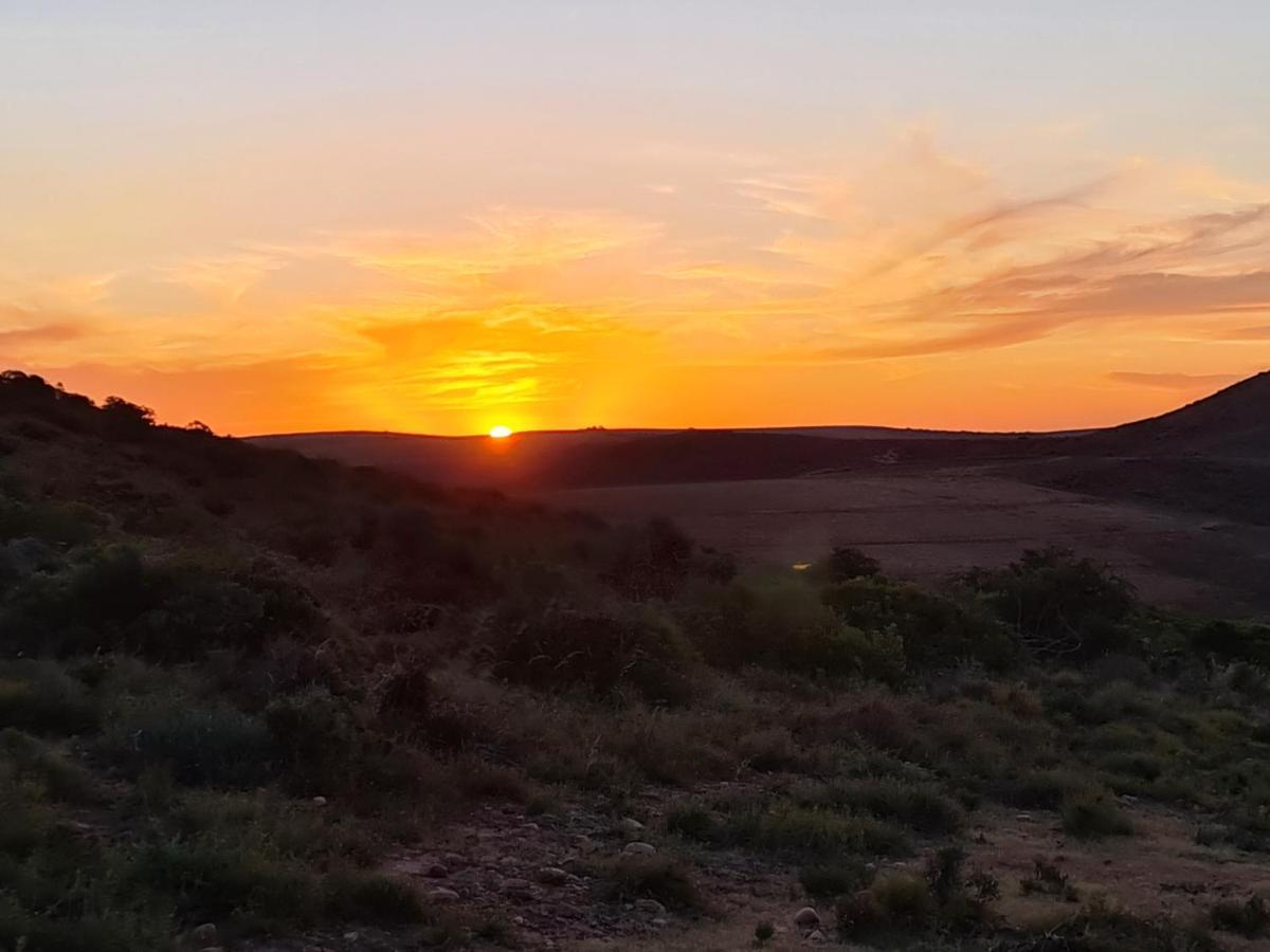 Indalu Game Reserve Boggomsbaai Eksteriør billede