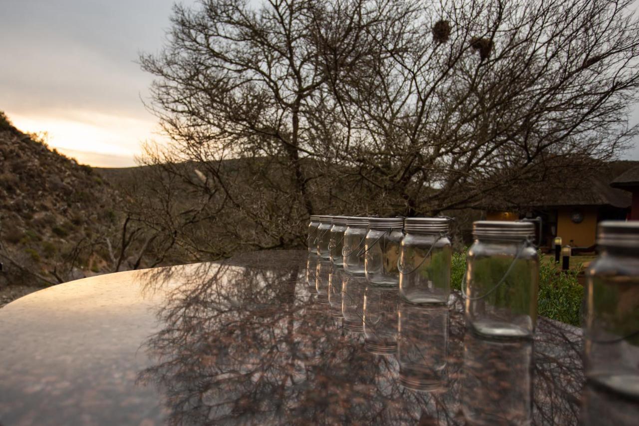 Indalu Game Reserve Boggomsbaai Eksteriør billede